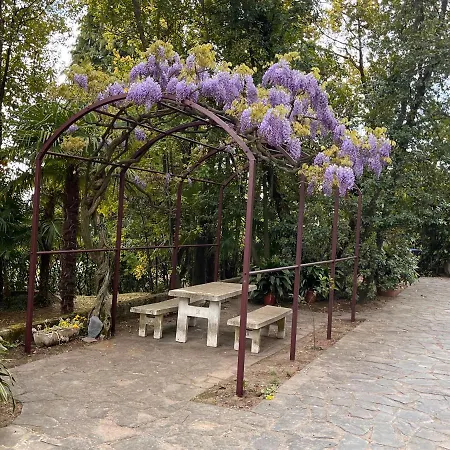 Vsc - In Storica Vista E Piscina Appartamento Lesa