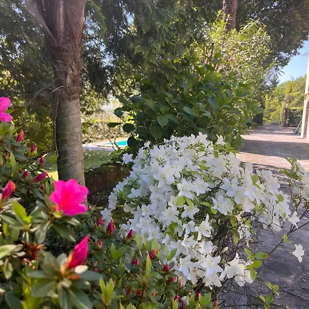 Vsc - In Storica Vista E Piscina Apartment