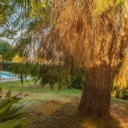 Vsc - In Storica Vista E Piscina Lesa