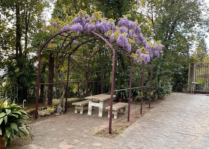 Vsc - In Storica Vista E Piscina Appartamento Lesa