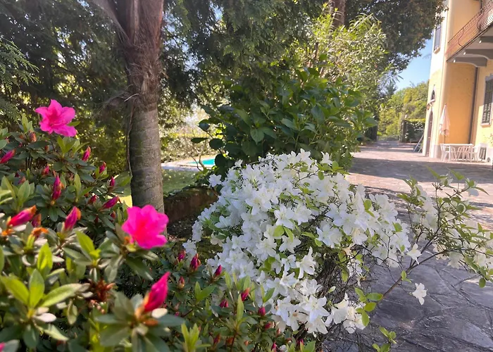 Vsc - In Storica Vista E Piscina 아파트